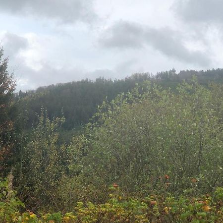 Fewo Berg Idyllika Willingen  Exteriör bild