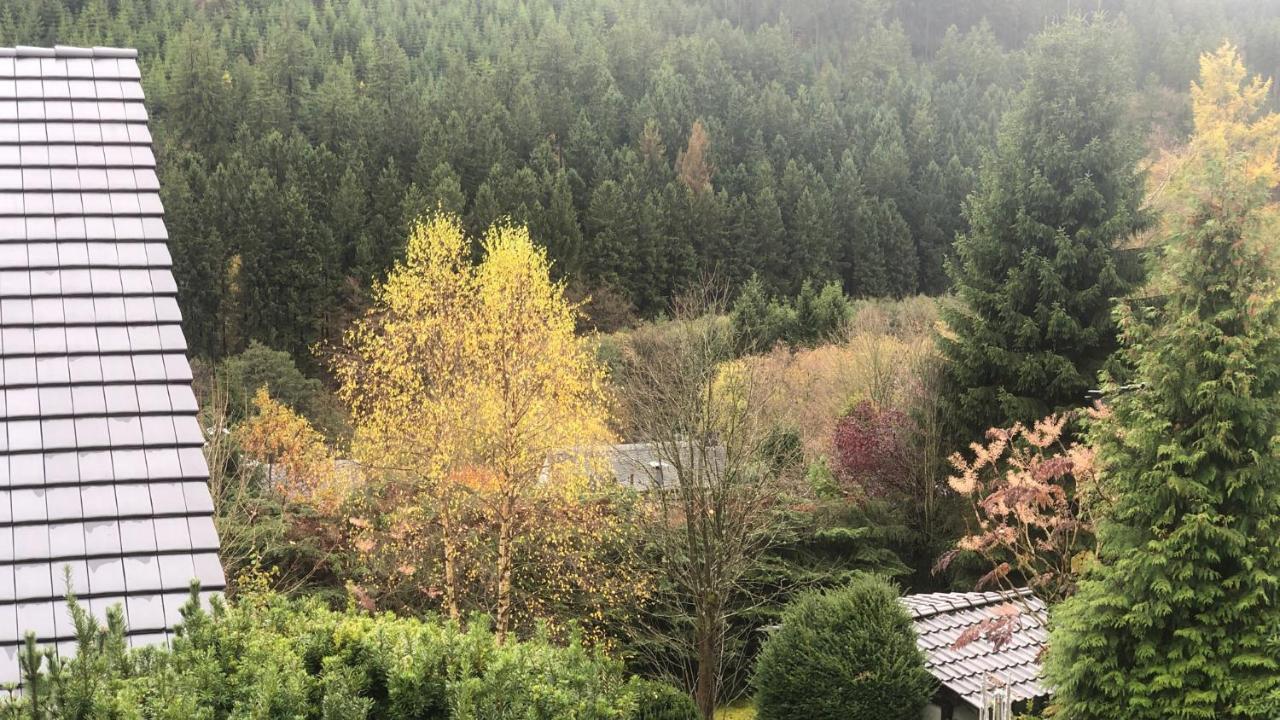 Fewo Berg Idyllika Willingen  Exteriör bild