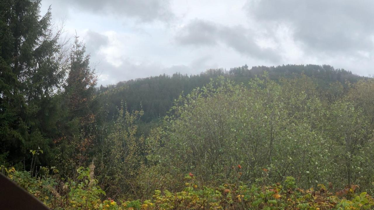 Fewo Berg Idyllika Willingen  Exteriör bild
