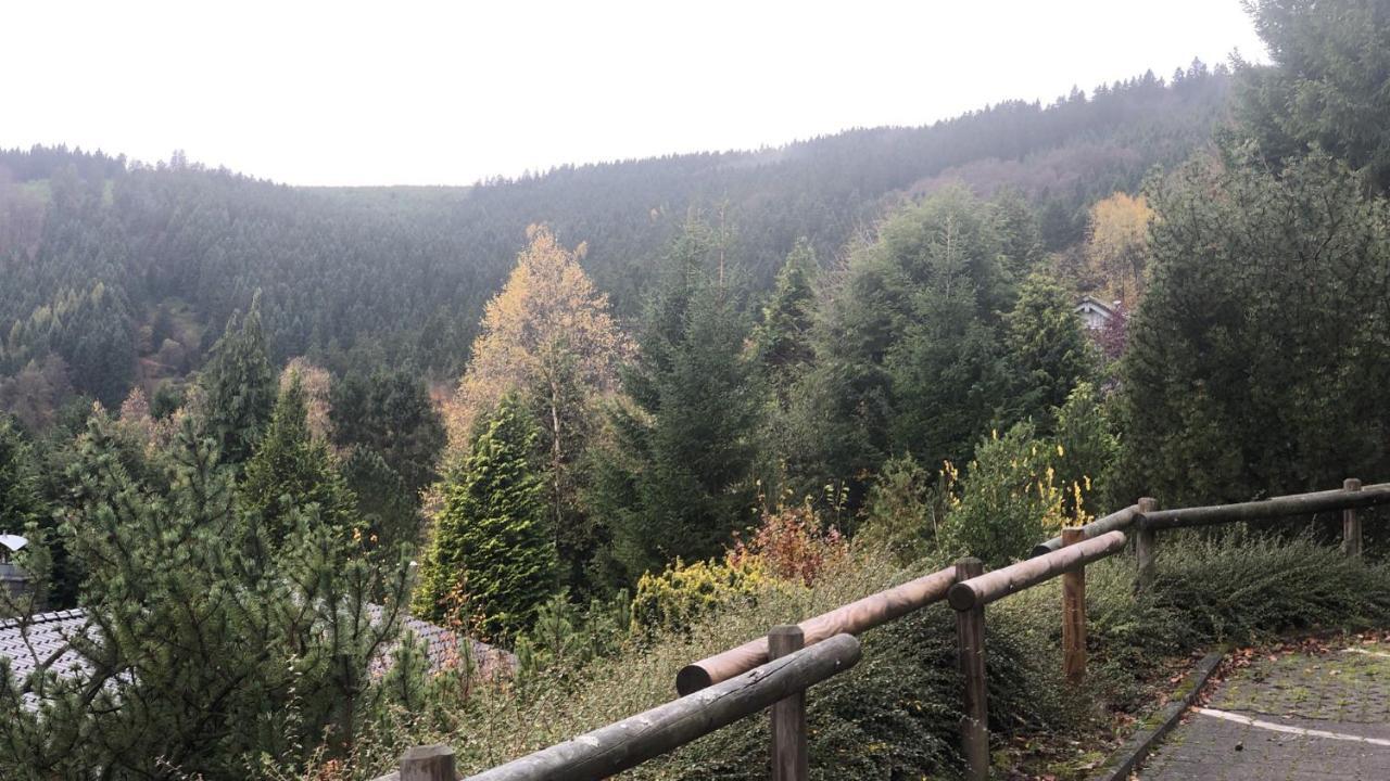 Fewo Berg Idyllika Willingen  Exteriör bild