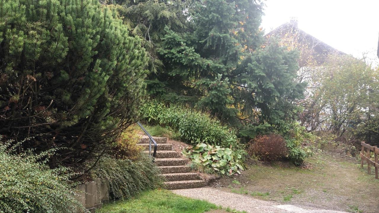 Fewo Berg Idyllika Willingen  Exteriör bild
